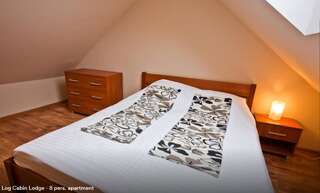 Отели типа «постель и завтрак» Dom z Bali Милкув Апартаменты с 3 спальнями-3